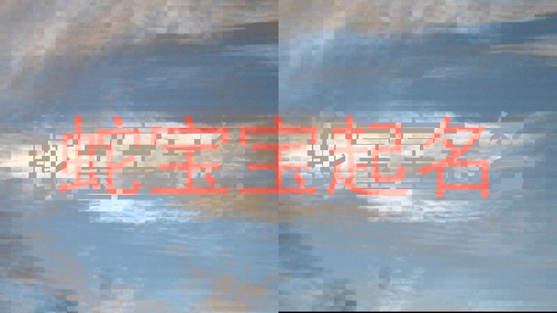 蛇宝宝起名