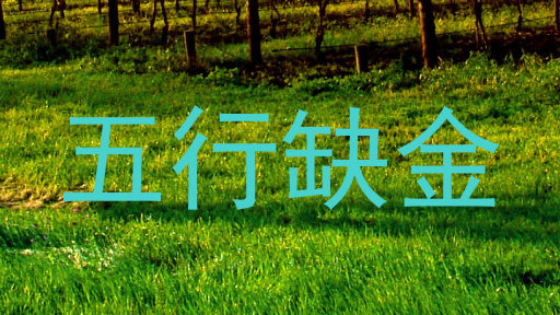 五行缺金