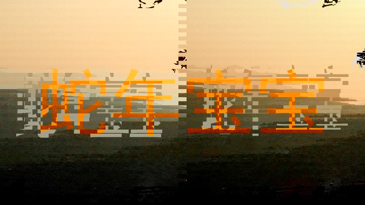 蛇年宝宝
