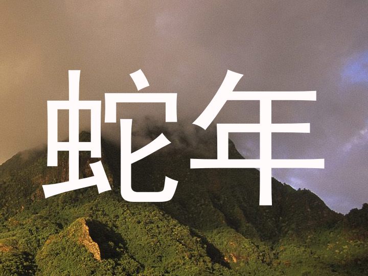 蛇年