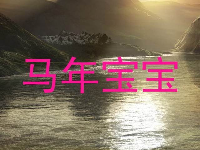 马年宝宝