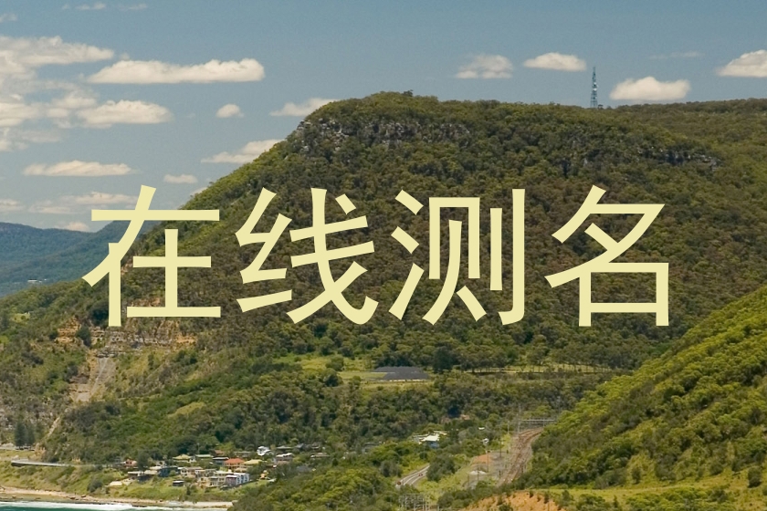 在线测名