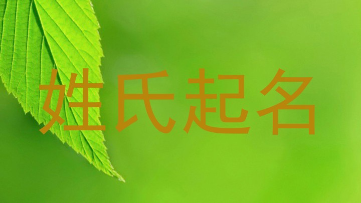 姓氏起名