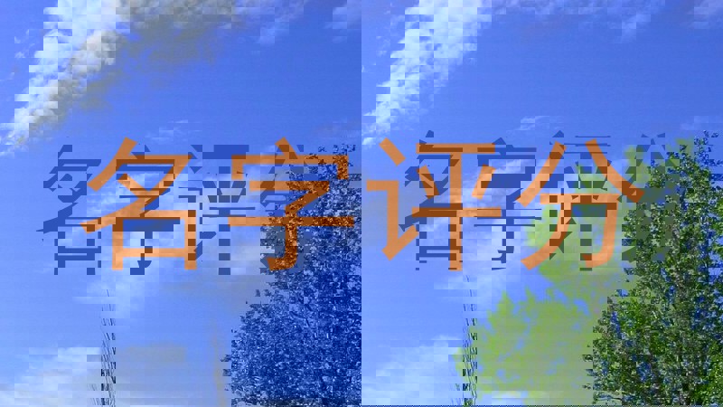名字评分