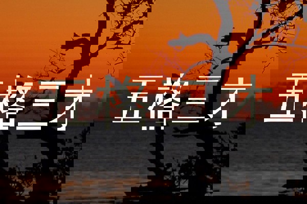 五格三才