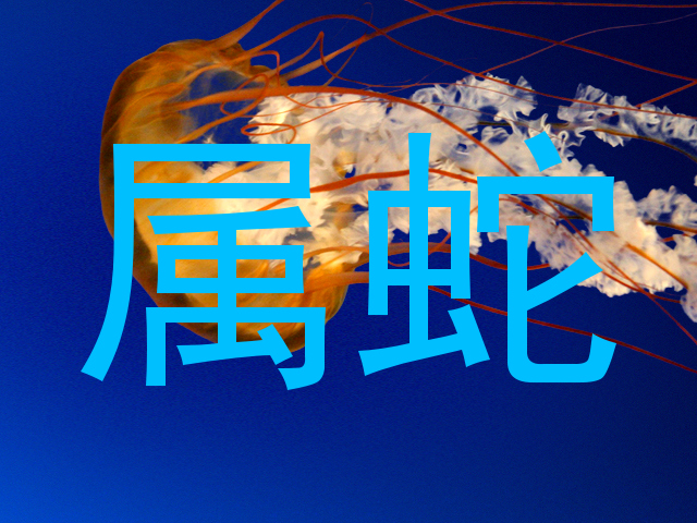 属蛇