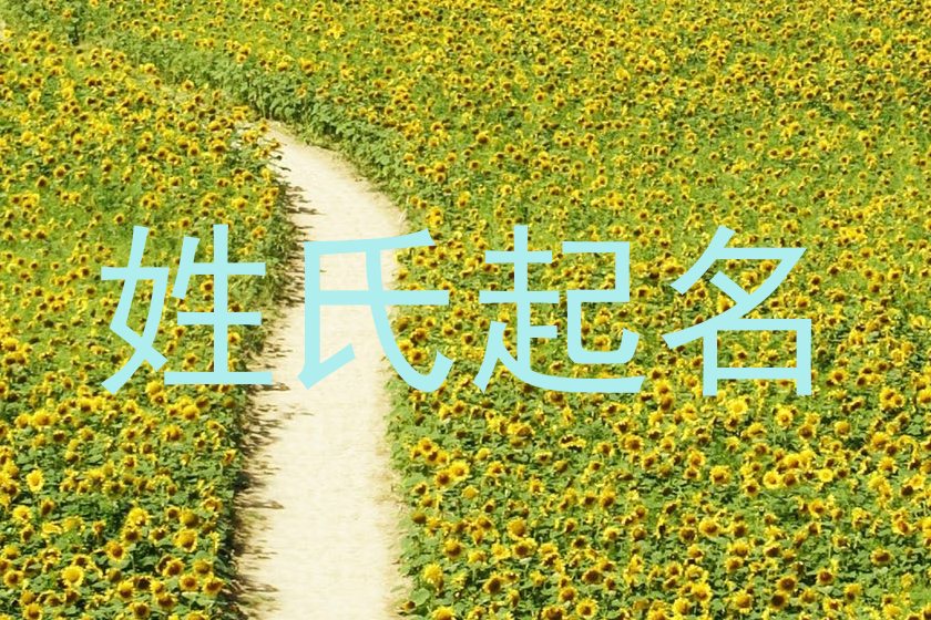 姓氏起名