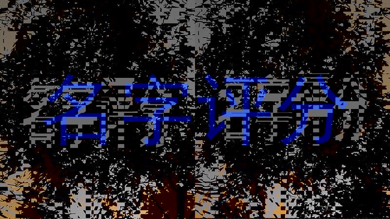 名字评分