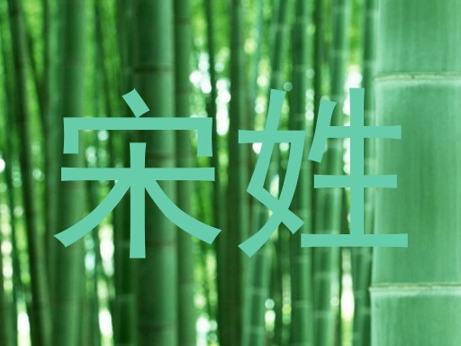 宋姓
