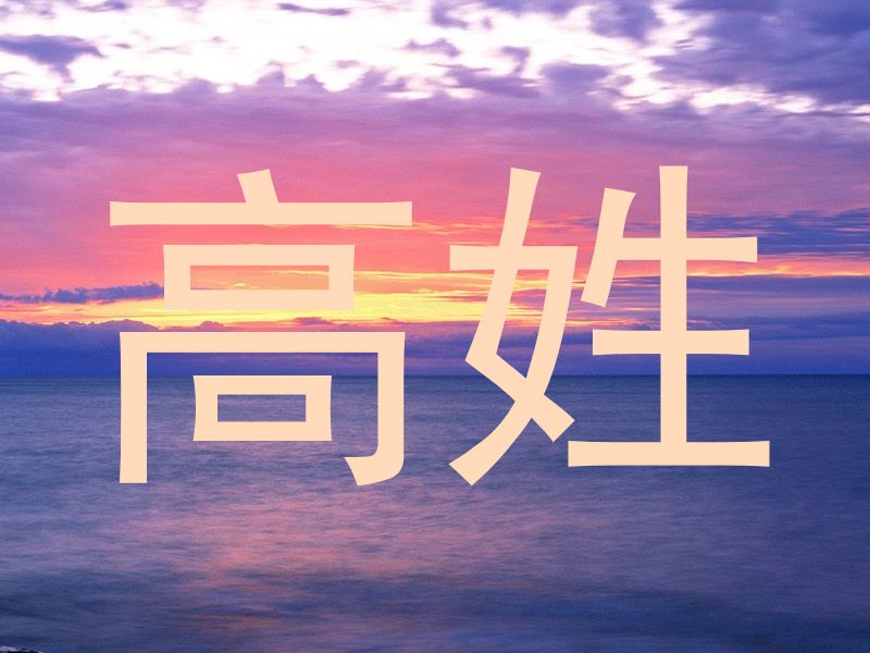 高姓