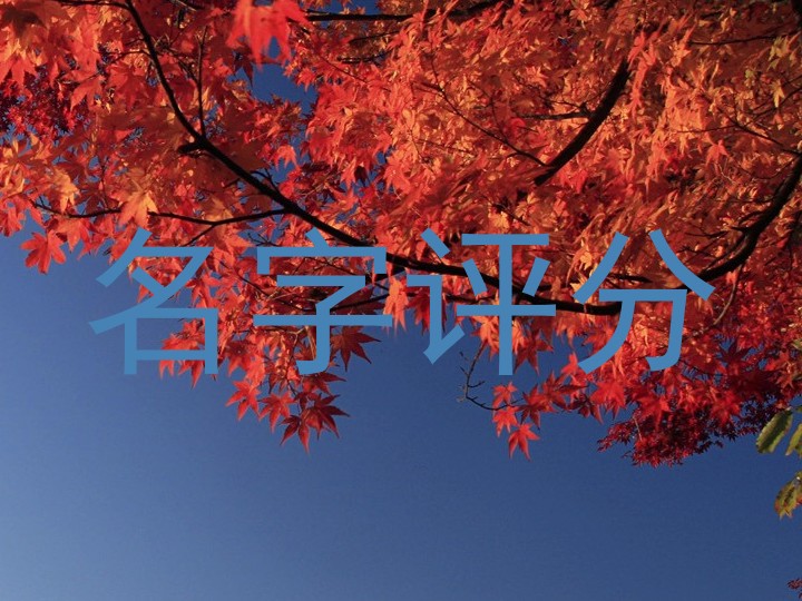名字评分