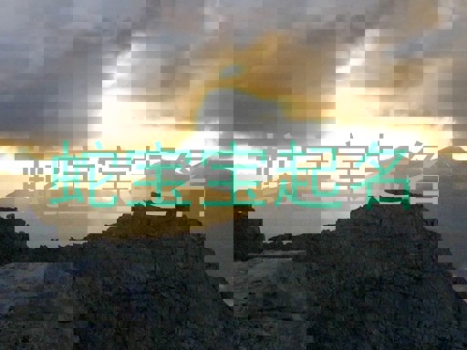 蛇宝宝起名