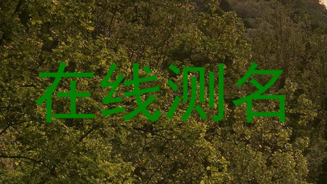在线测名