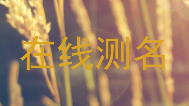 在线测名