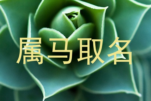 属马取名