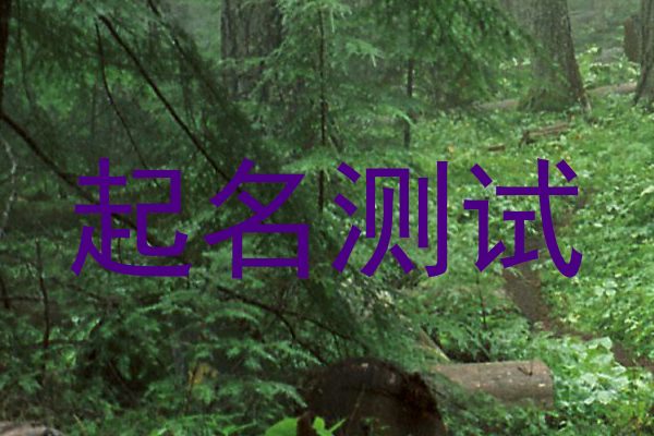 起名测试