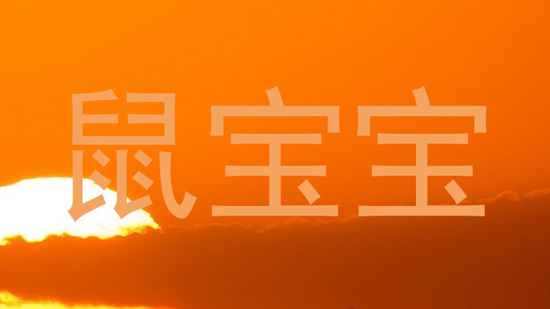 鼠宝宝