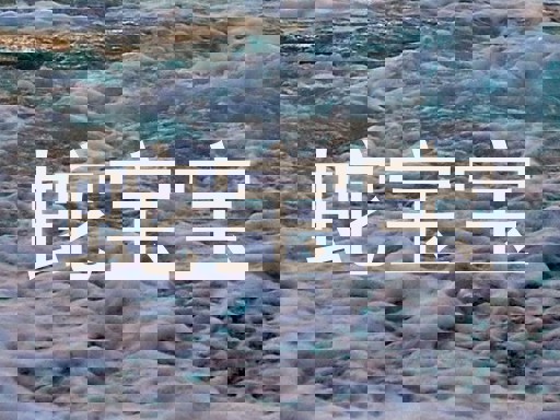 蛇宝宝