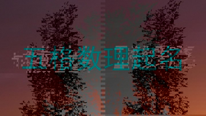 五格数理起名