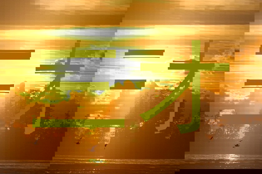 三才