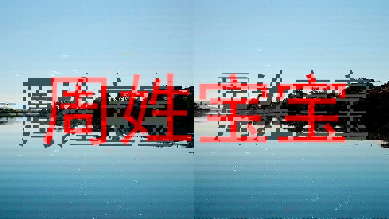 周姓宝宝