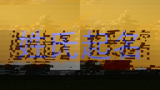 姓氏起名