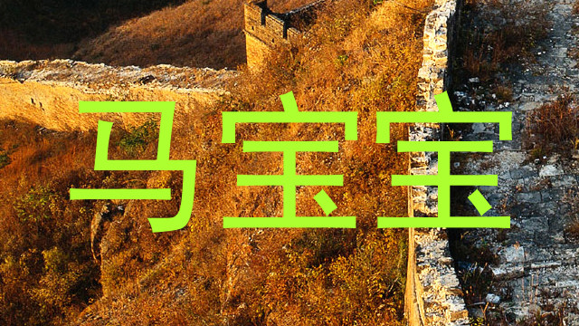 马宝宝