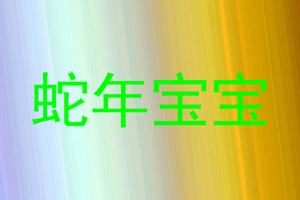 蛇年宝宝