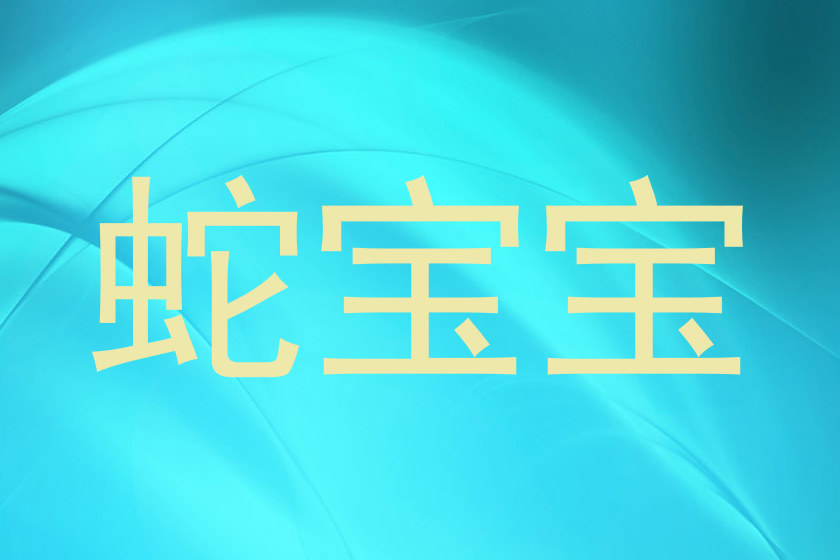 蛇宝宝