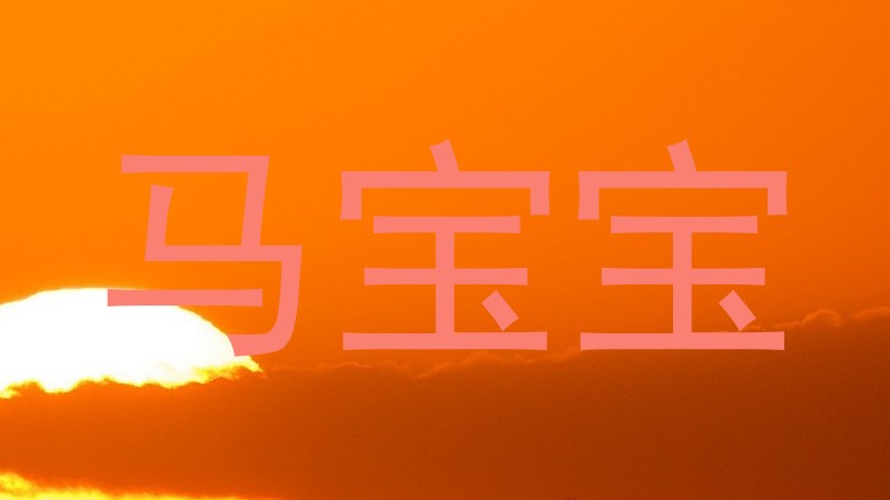 马宝宝