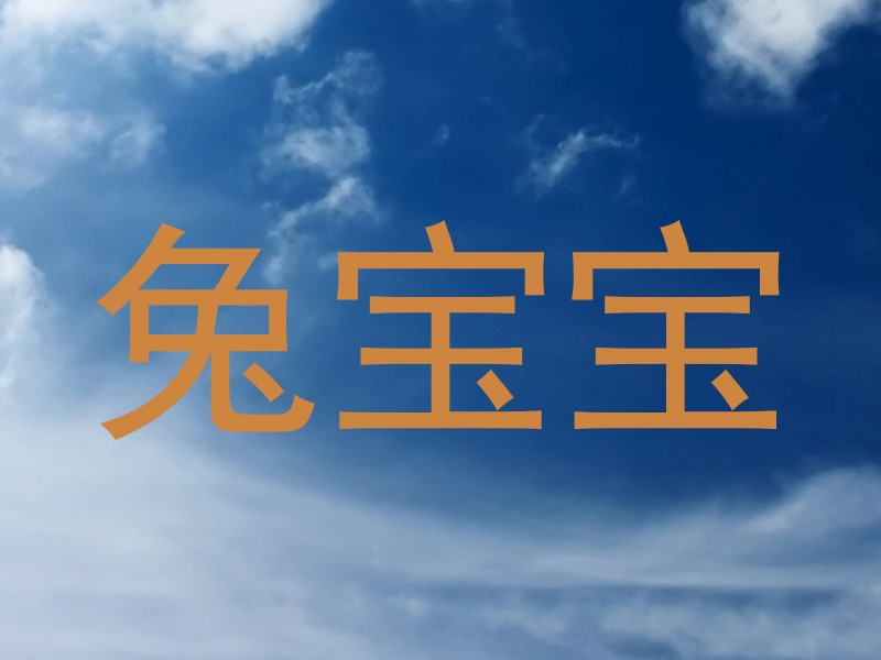 兔宝宝