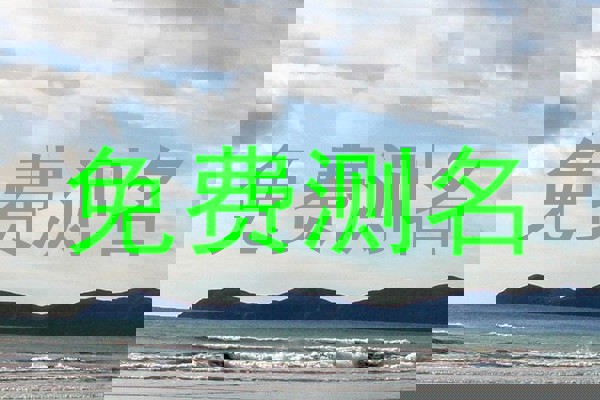 免费测名