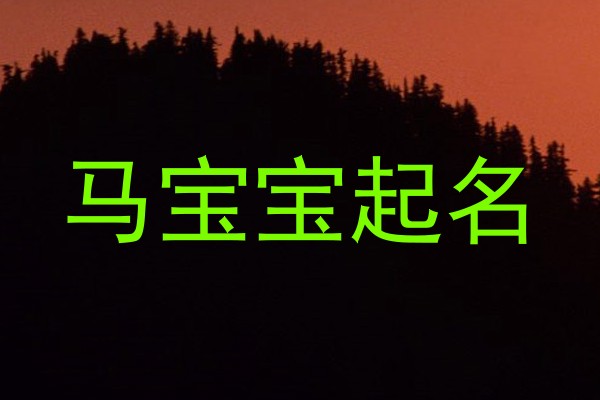 马宝宝起名