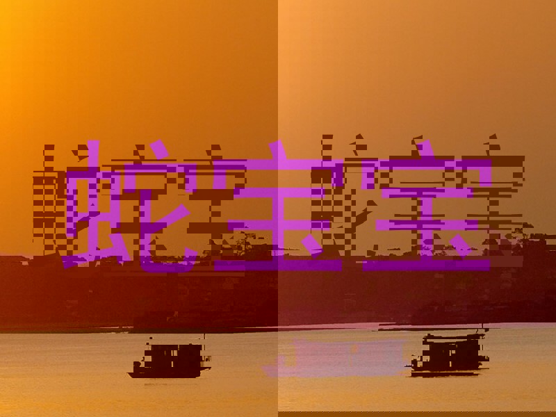 蛇宝宝