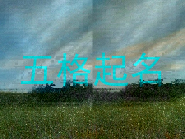 五格起名