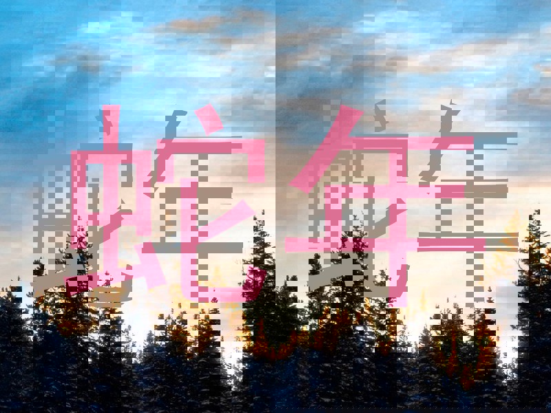 蛇年