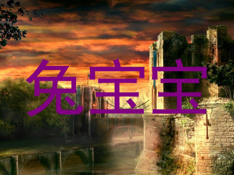 兔宝宝