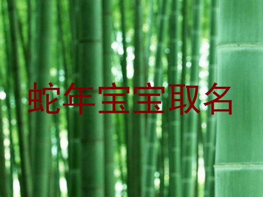蛇年宝宝取名