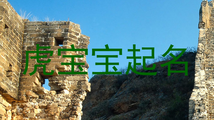 虎宝宝起名