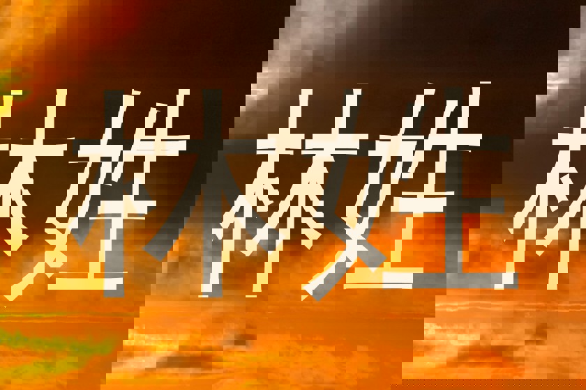 林姓