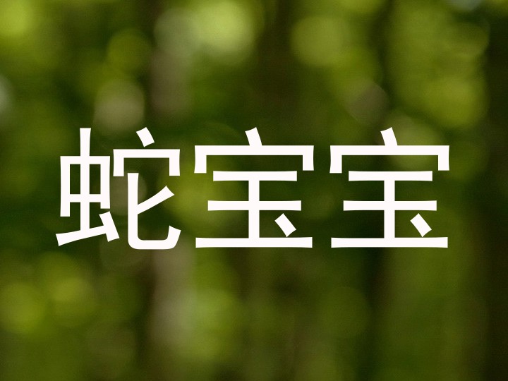 蛇宝宝