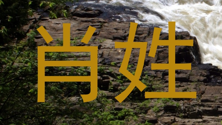 肖姓