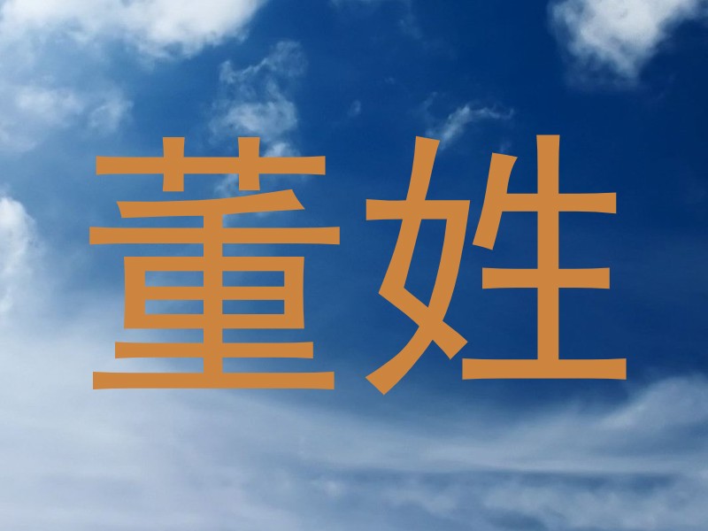 董姓