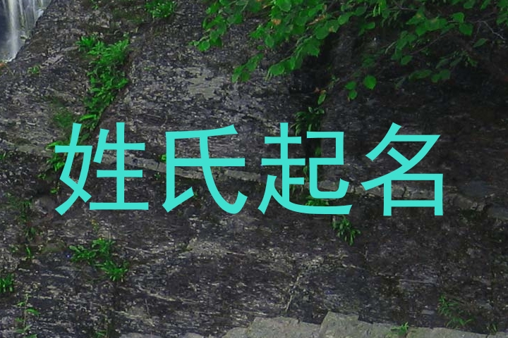 姓氏起名