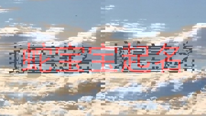 蛇宝宝起名