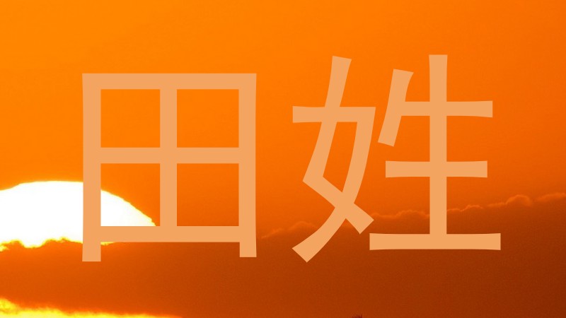 田姓