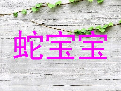 蛇宝宝