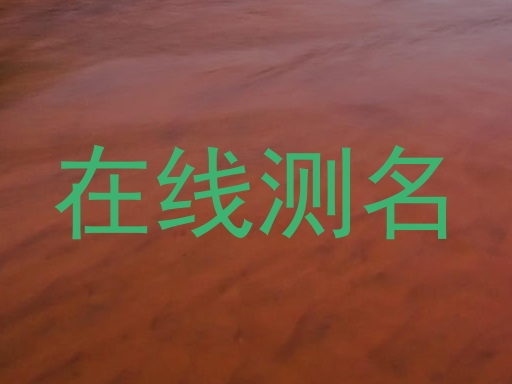 在线测名