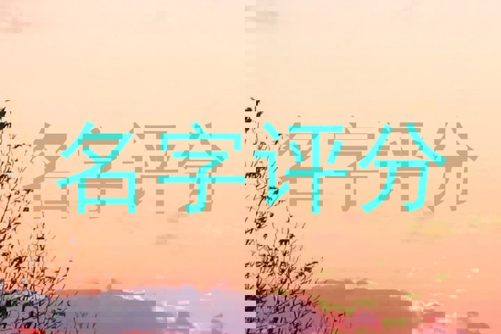 名字评分