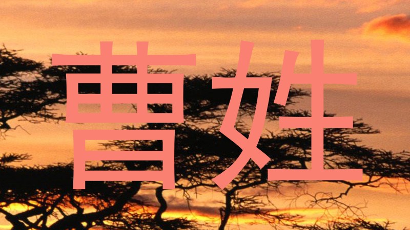 曹姓